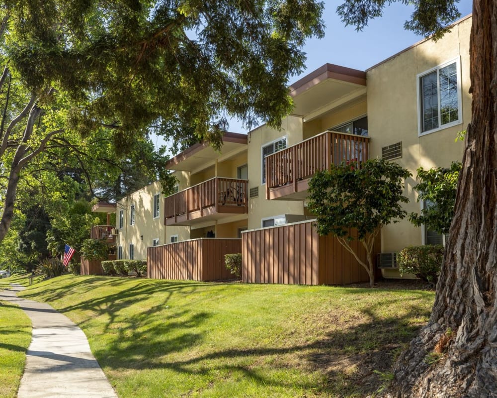 Trees and green grass around Sycamore Commons Apartments in Fremont, California