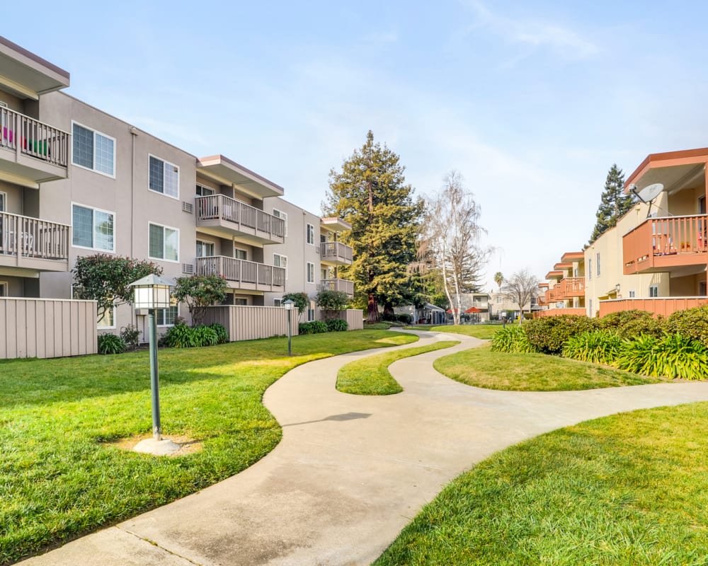 Path between the buildings at Sycamore Commons Apartments in Fremont, California