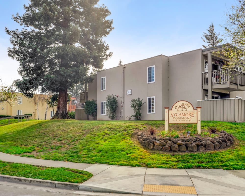 Street view of Sycamore Commons Apartments in Fremont, California