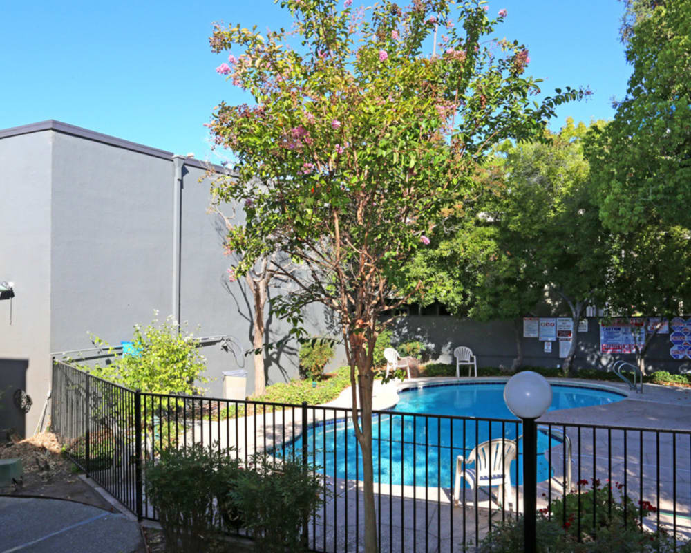 Swimming pool at Sequoyah Apartments in Concord, California
