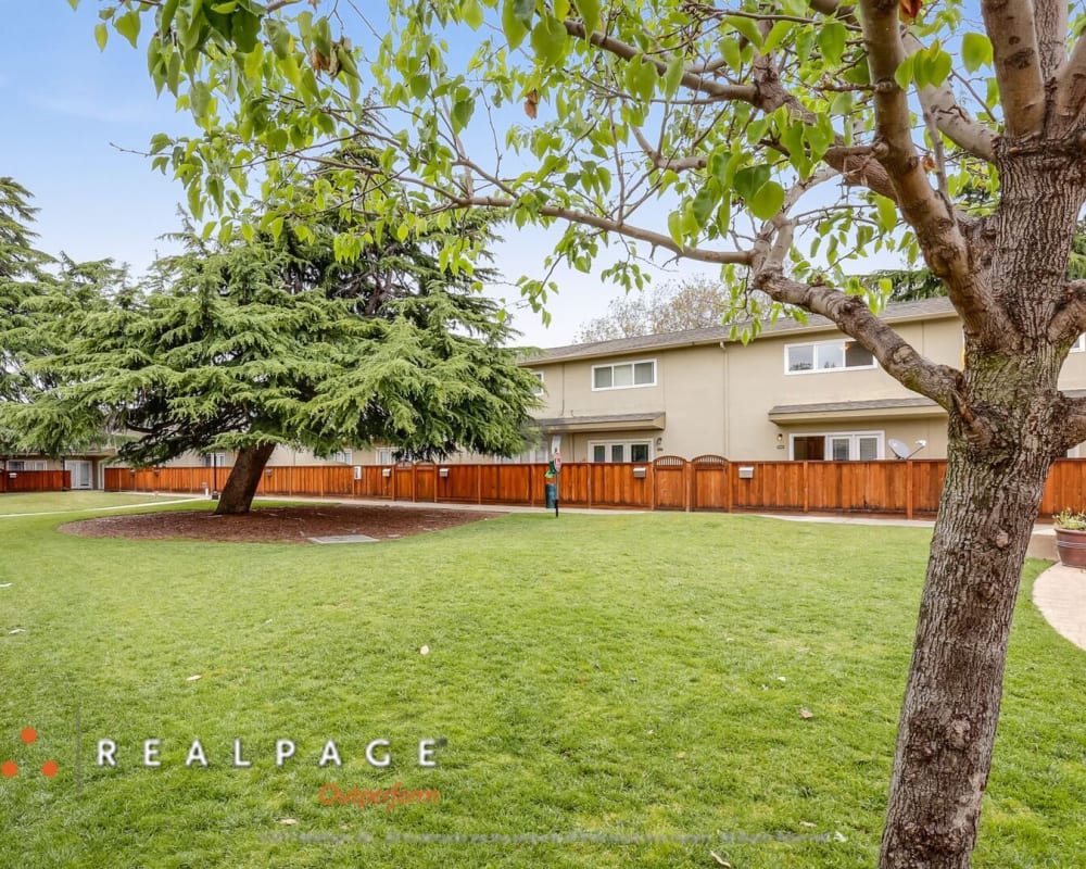 Grassy lawn and courtyard at Washington Townhomes in San Lorenzo, California