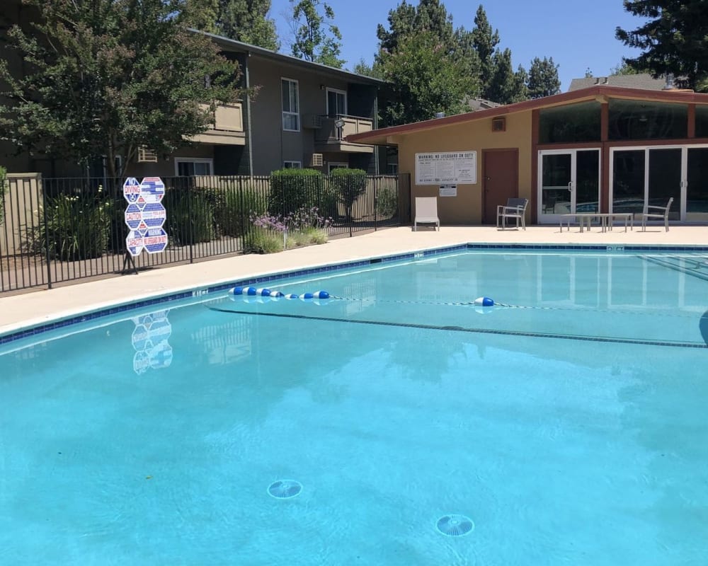 Sparkling swimming pool at Pennsylvania Apartments in Fremont, California