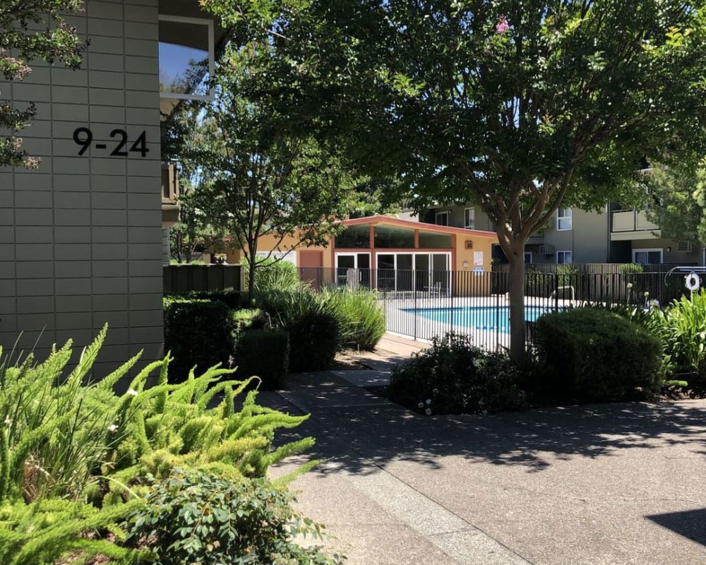 Landscaping outside the pool at Pennsylvania Apartments in Fremont, California