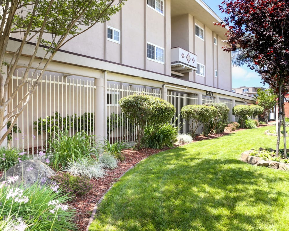 Landscaping at Bancroft Towers in San Leandro, California