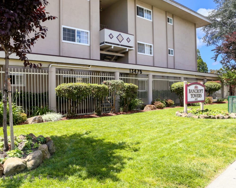 Grassy lawn outside of Bancroft Towers in San Leandro, California