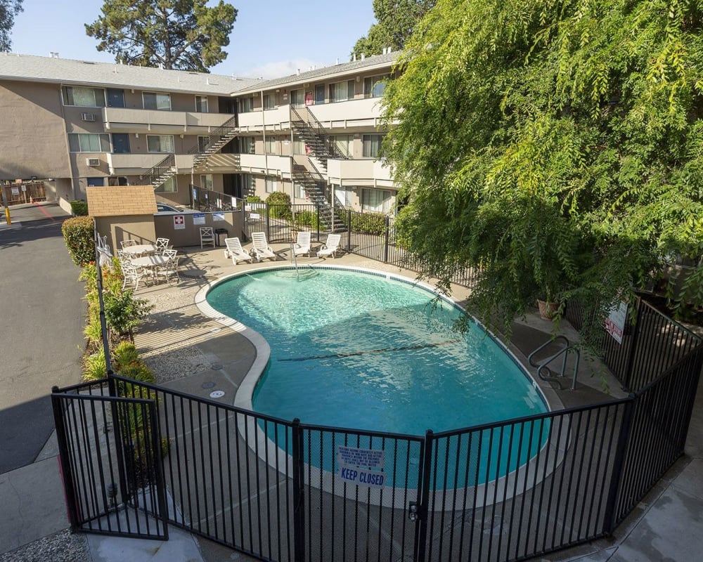 Inviting swimming pool at North Main in Walnut Creek, California