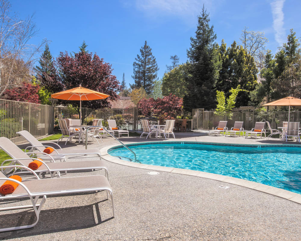 View our amenities at Spring Creek Apartments in Santa Clara, California
