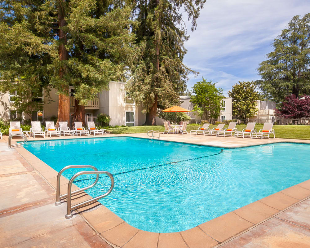 Sparkling swimming pool at Brookdale Apartments in San Jose, California