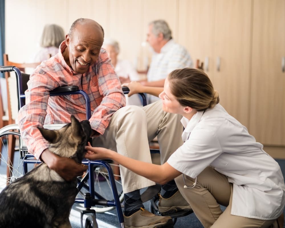 Resident petting a dog at Integrated Senior Lifestyles in Southlake, Texas