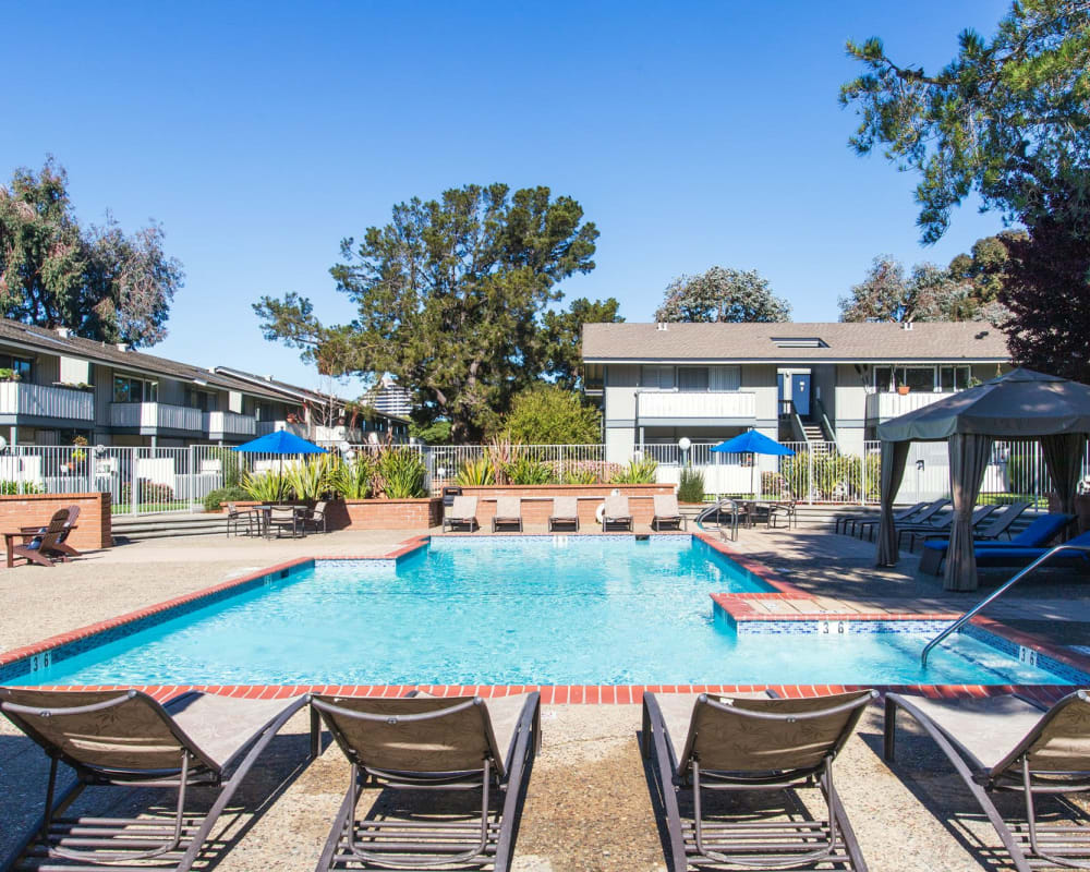 Pool area at Sand Cove in Foster City, California