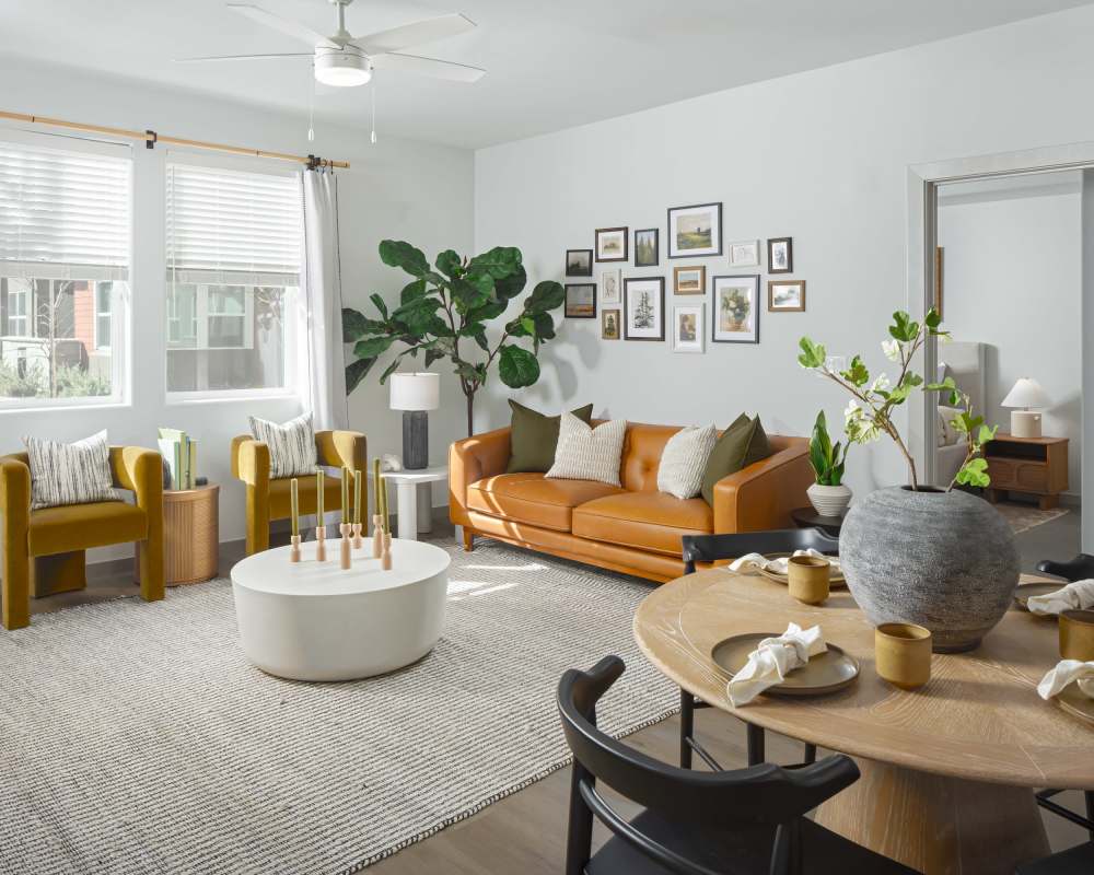 Living room with modern design at SoCo Apartments in Napa, California