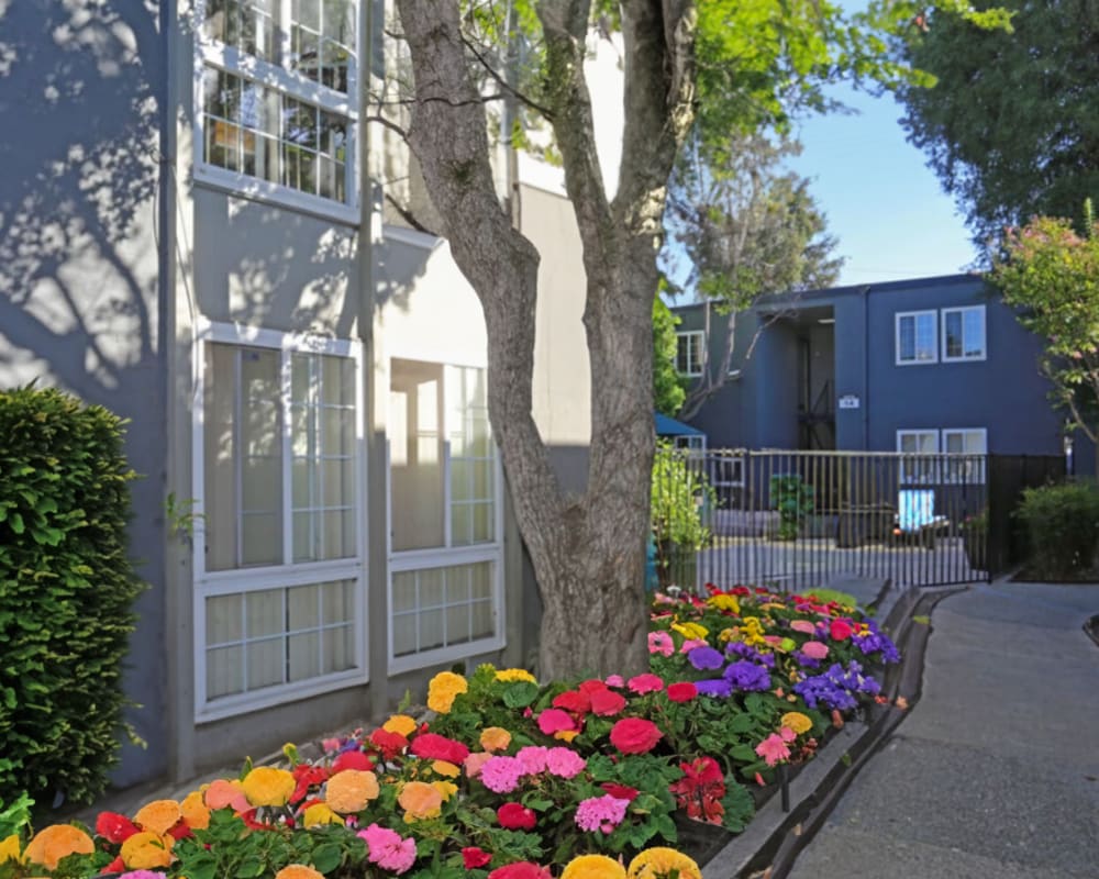 Walkway outside of Sequoyah Apartments in Concord, California