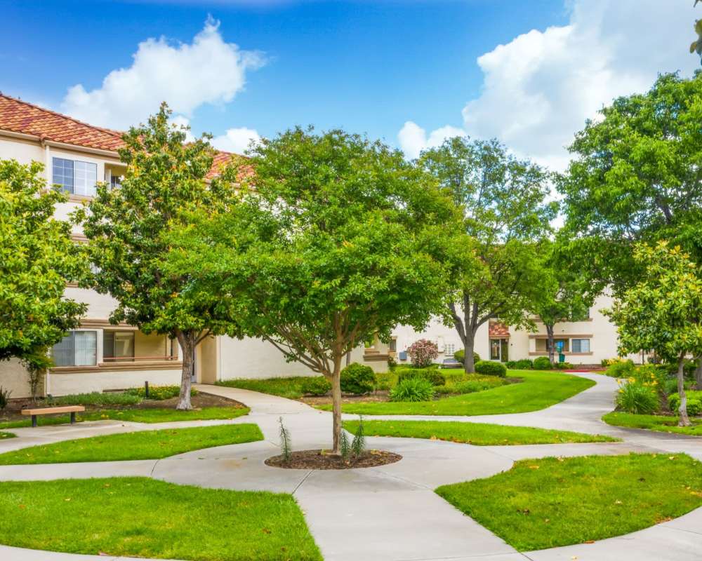Grassy walking path with trees surrounding at Somerset Senior Apartments in Antioch, California