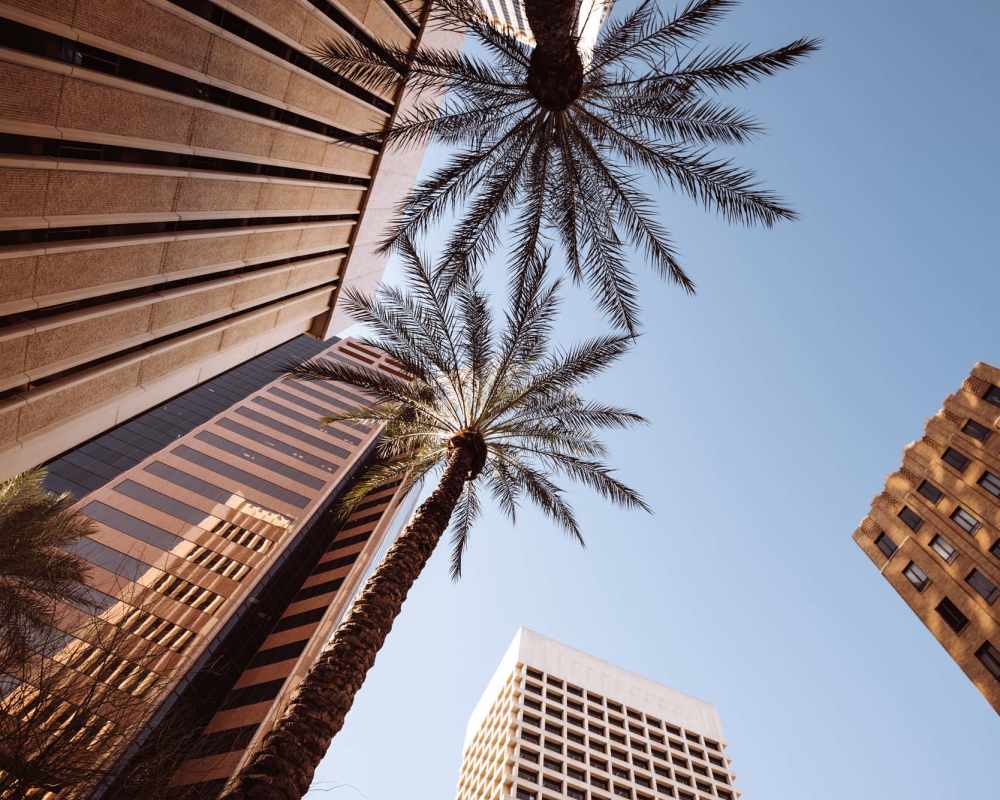 Skyscrapers near Peters Residential in Culver City, California