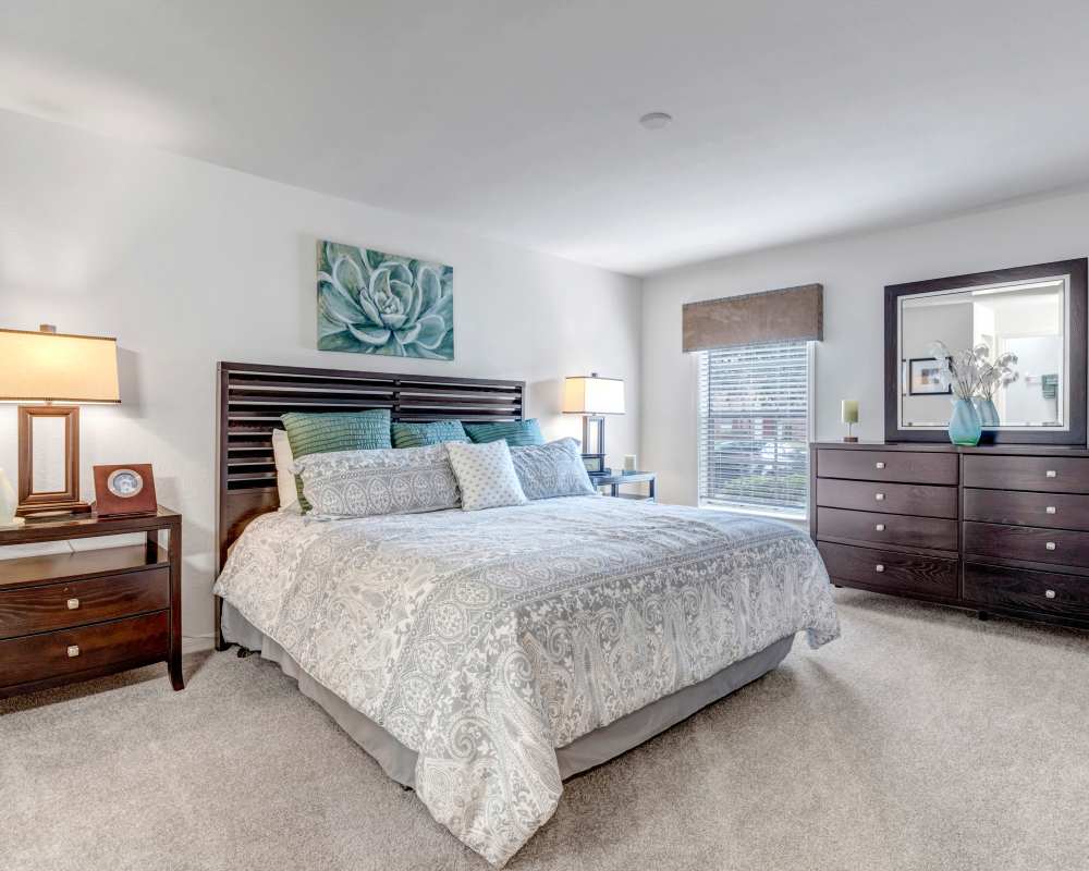 Carlton Arms Winter Haven at The Mahaffey Apartment Company in St Petersburg, Florida