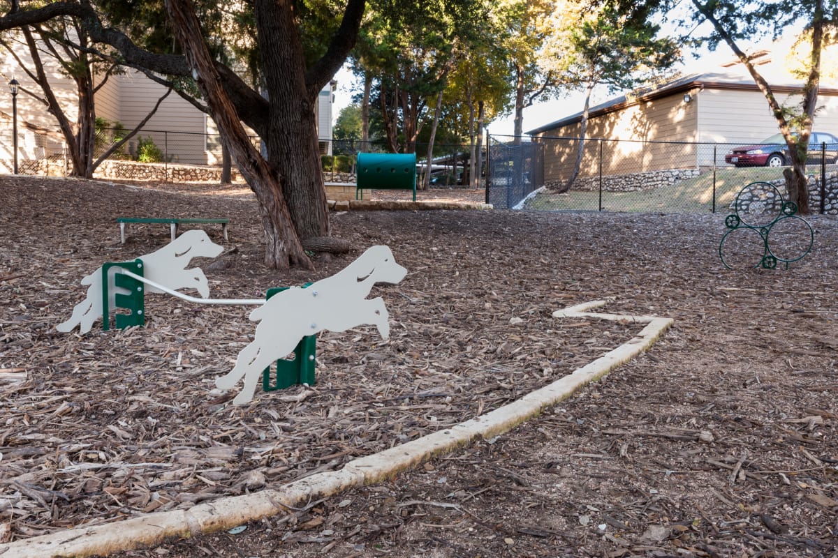 Onsite dog park at Tintara at Canyon Creek in Austin, Texas