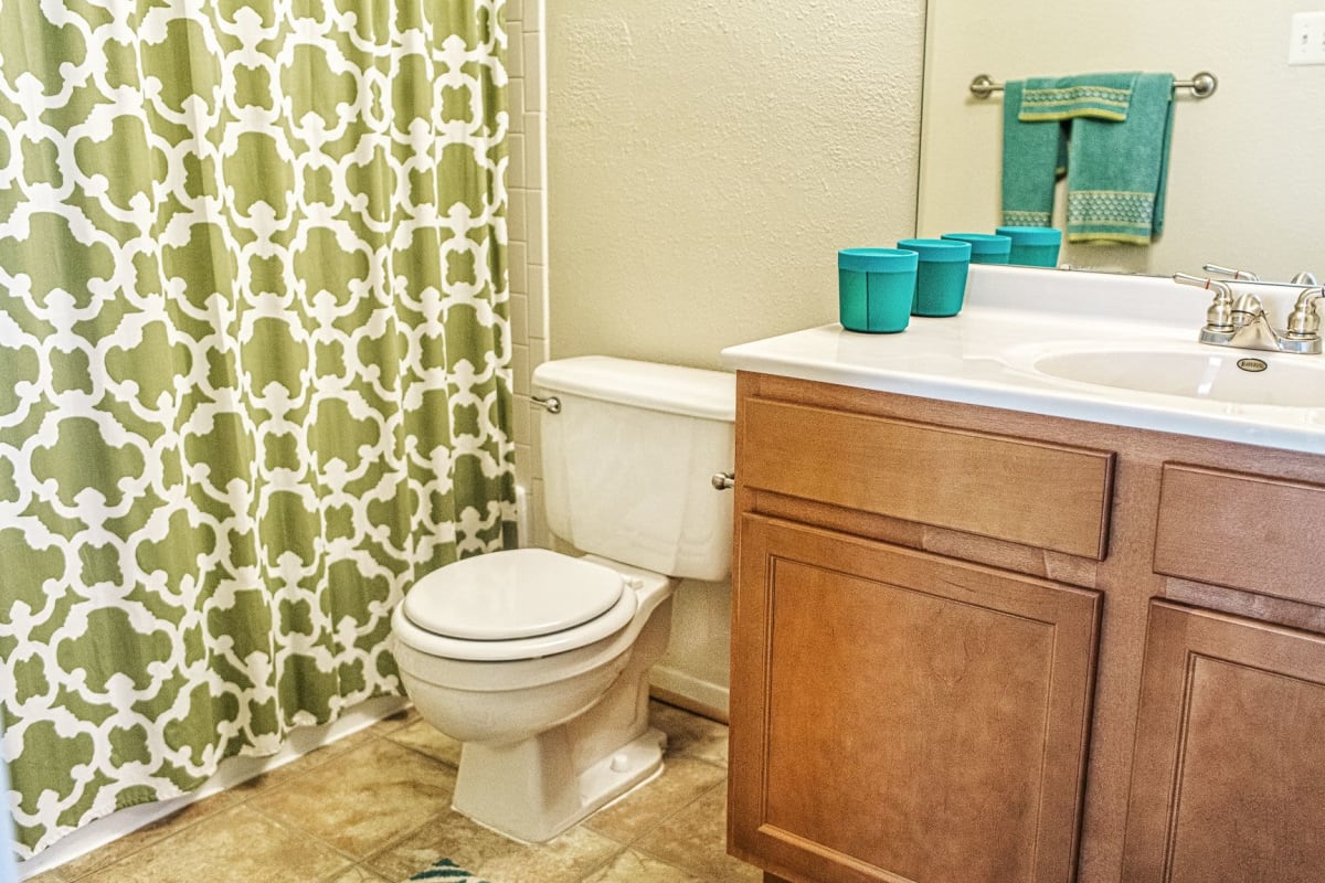 Clean bathroom at The Views at Laurel Lakes in Laurel, Maryland