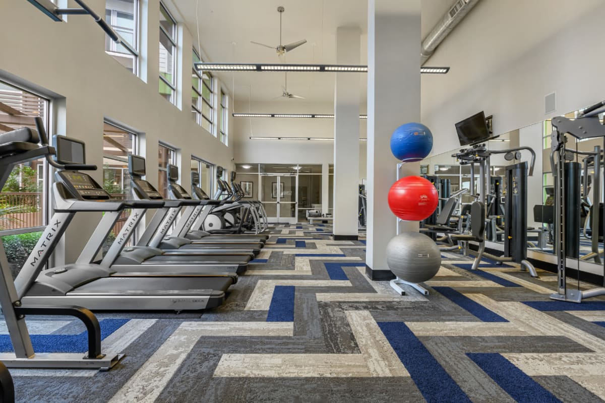Cardio machines lined up in front of windows and medicine balls on rack at Sabina in Austin, Texas