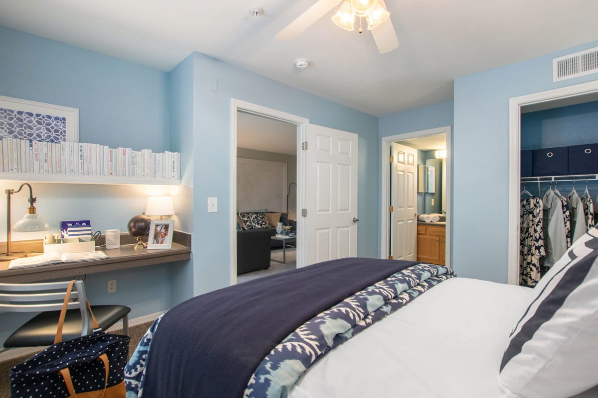 blue bedroom with study area at The Social in Lutz, Florida