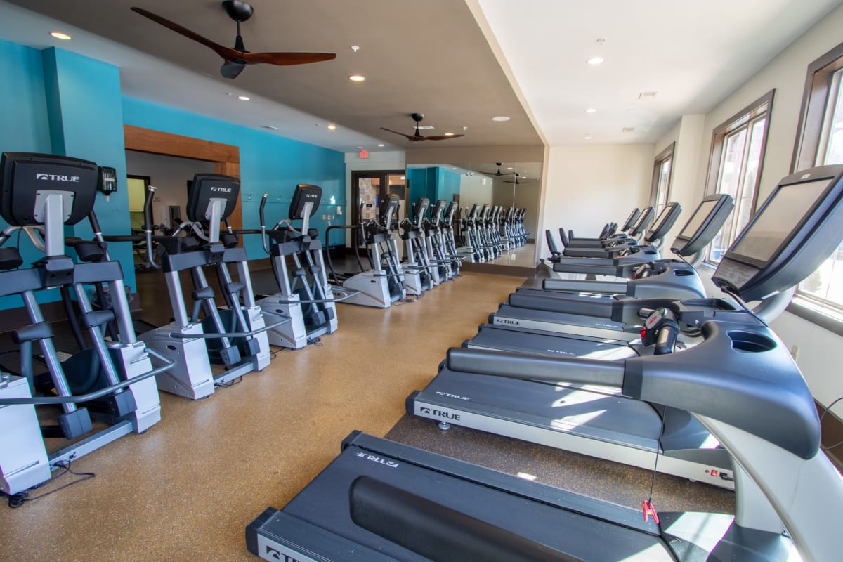Fitness center with cardio equipment at The Waverly in Newark, Delaware