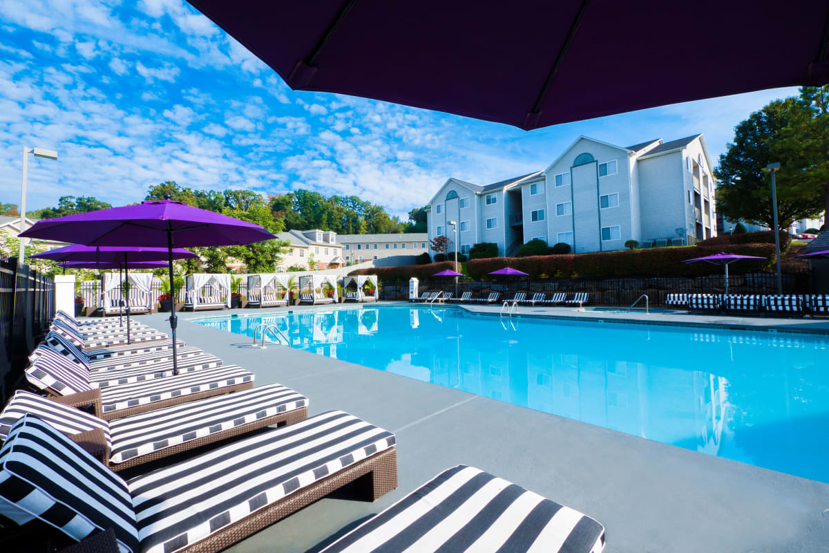 Resort-style swimming pool and striped lounge chairs at The Harrison in Harrisonburg, Virginia