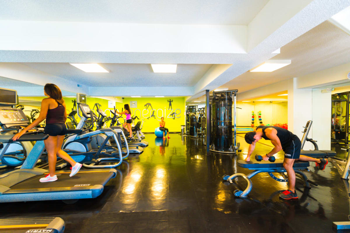 Well-equipped fitness center at Woodland Mews in Ann Arbor, Michigan