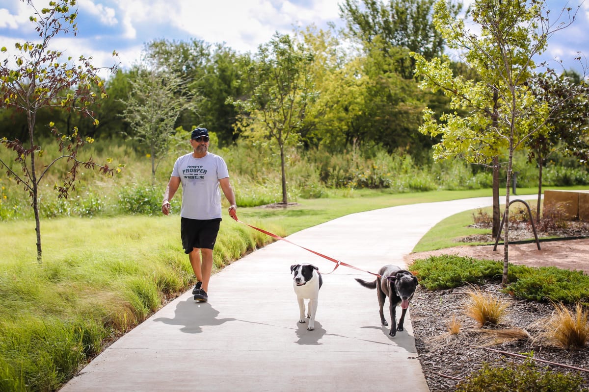 Resident taking his dog for a walk in the nice park at BB Living at Light Farms in Celina, Texas