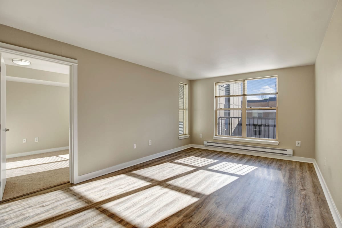 Sunlight illuminating an apartment's primary suite at Vantage Park Apartments in Seattle, Washington