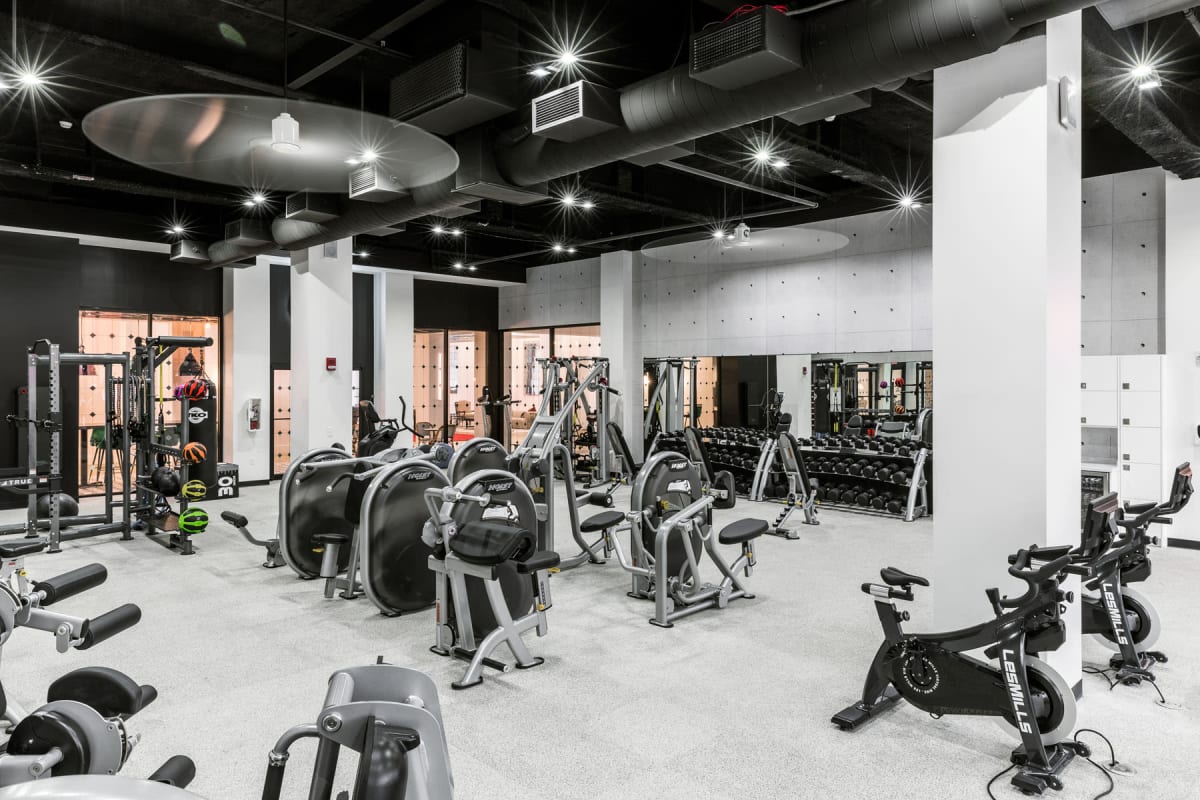 The Jim onsite fitness center has ample equipment for everyone at 20 Hawley in Binghamton, New York