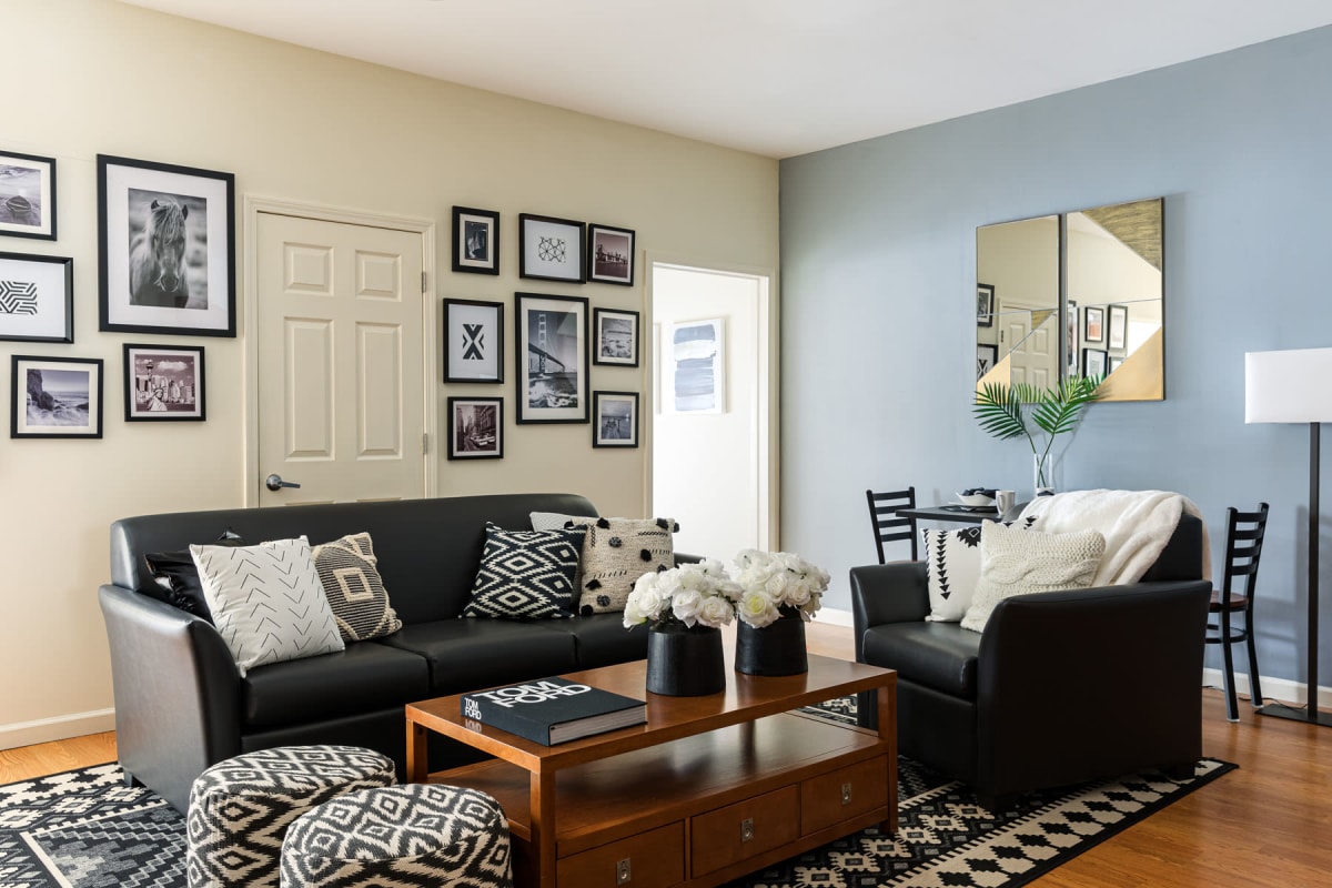 Well-decorated living space with an accent wall in a model student apartment at 20 Hawley in Binghamton, New York