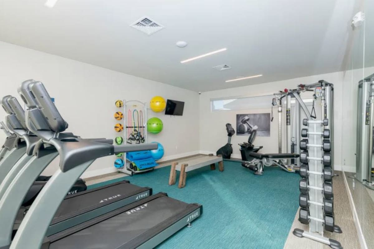 Fitness center at Elevate at Skyline in McKinney, Texas
