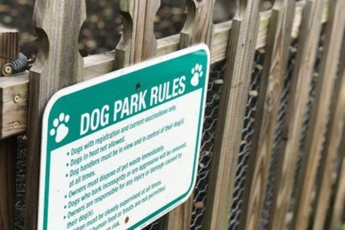 dog park rules at Forest Pointe in Walterboro, South Carolina