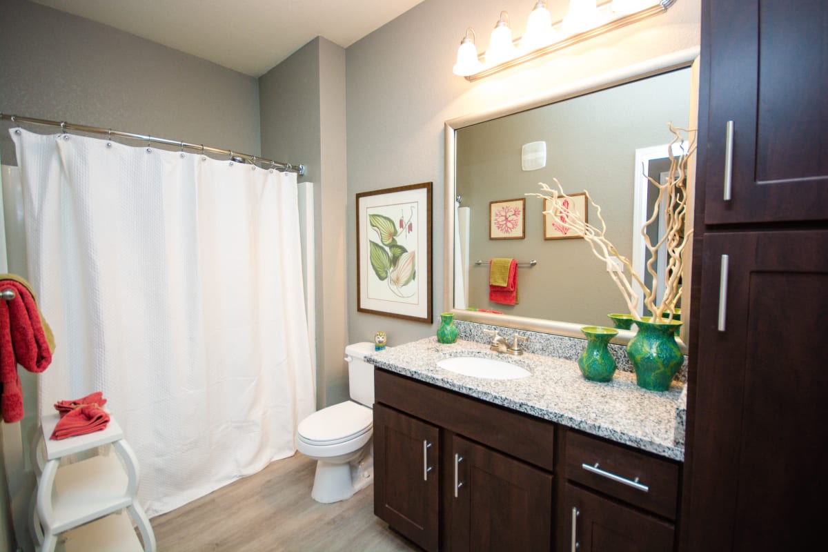 An apartment bathroom with a tub at Providence Trail in Mt Juliet, Tennessee