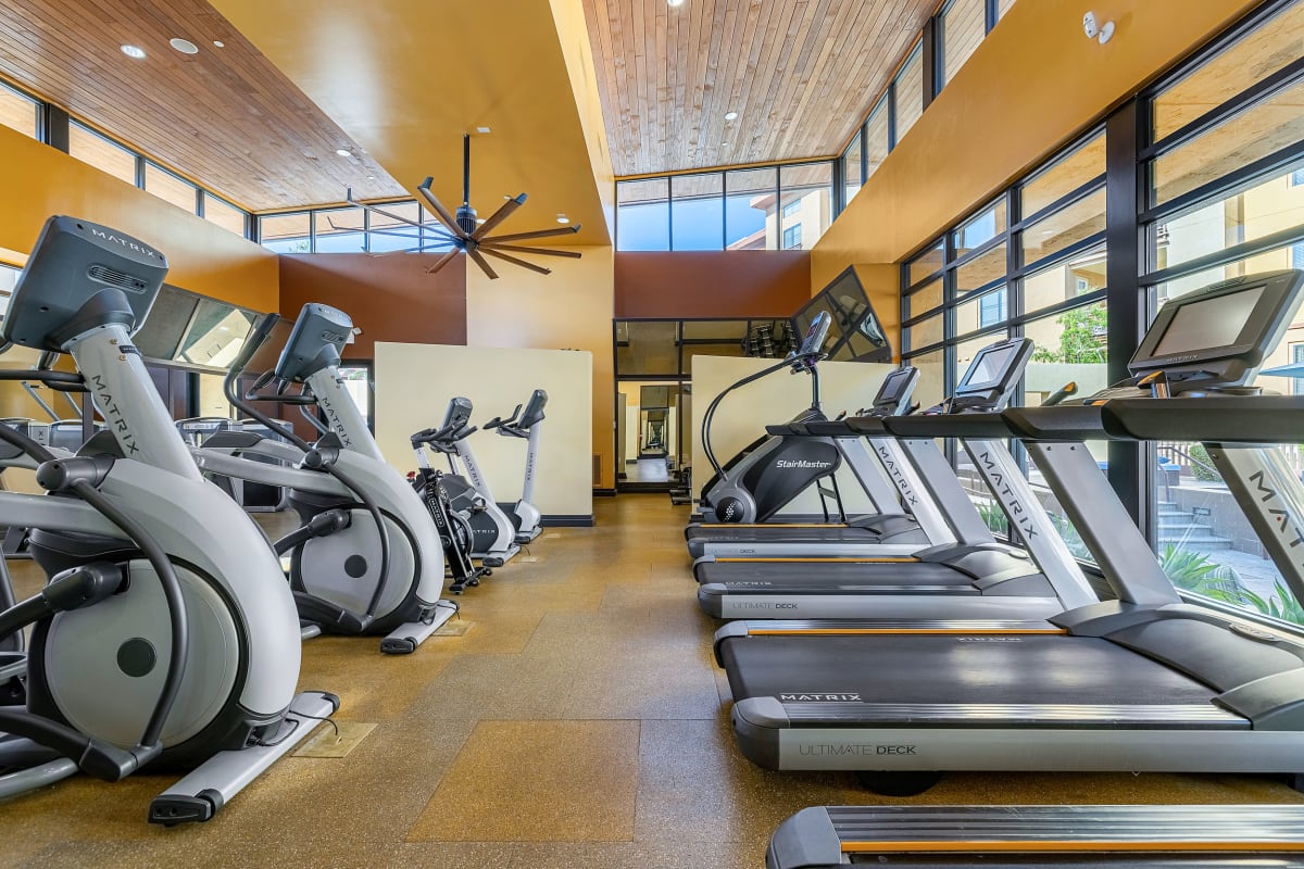 Treadmills and elliptical machines with view of pool deck at Marquis at Desert Ridge in Phoenix, Arizona