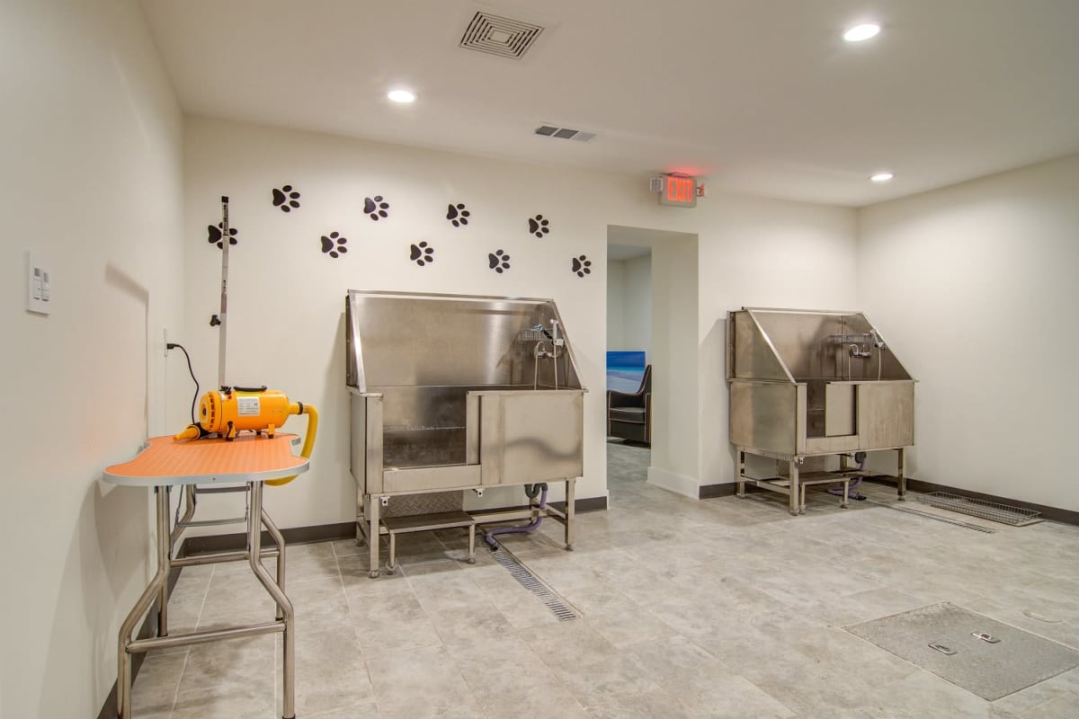 Pet grooming room at The 500 in Atlanta, Georgia