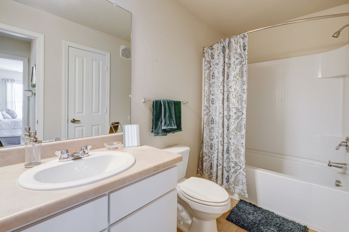 Updated bathroom at Parc at Flowing Wells Apartment Homes in Augusta, Georgia