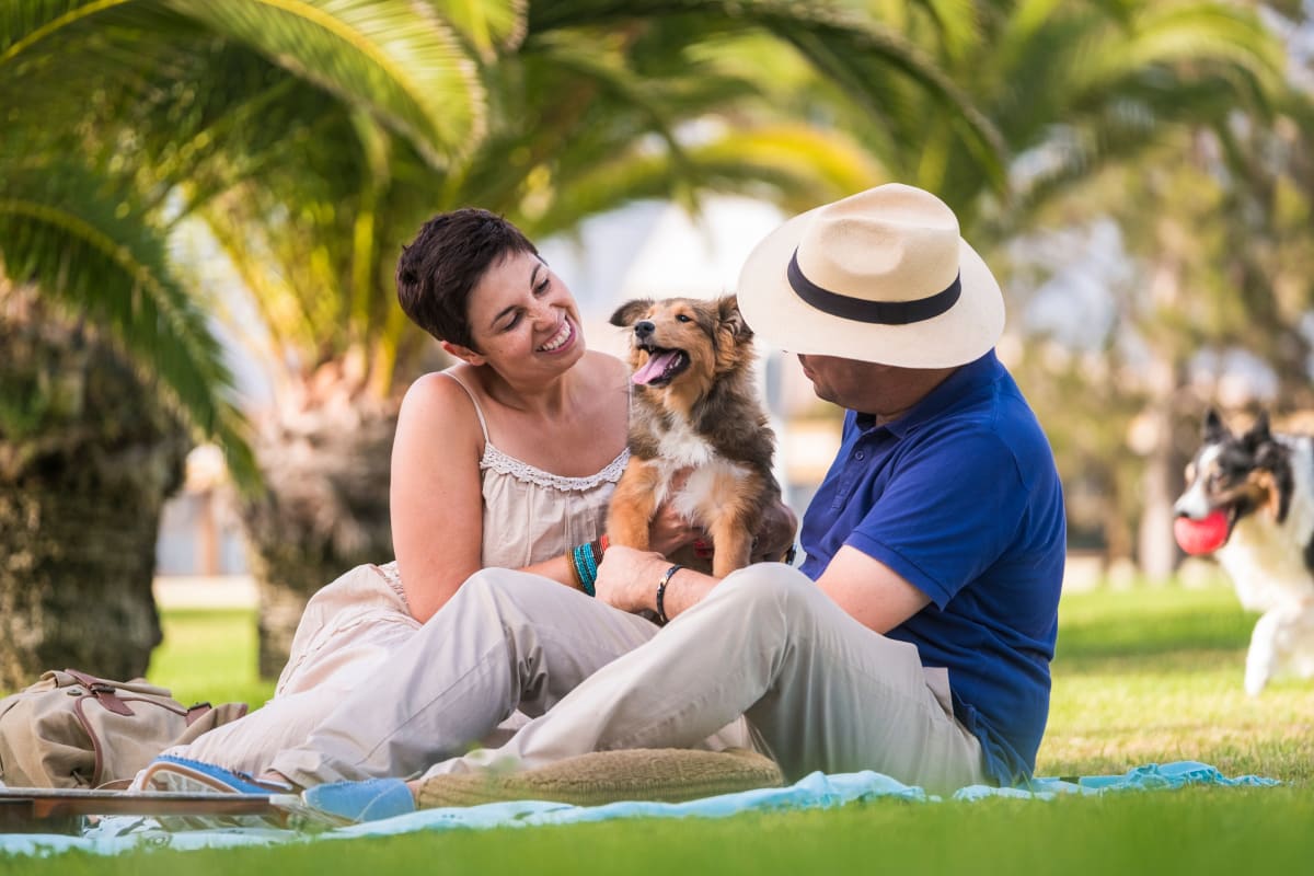 Residents with their dog at Altura in Pensacola, Florida