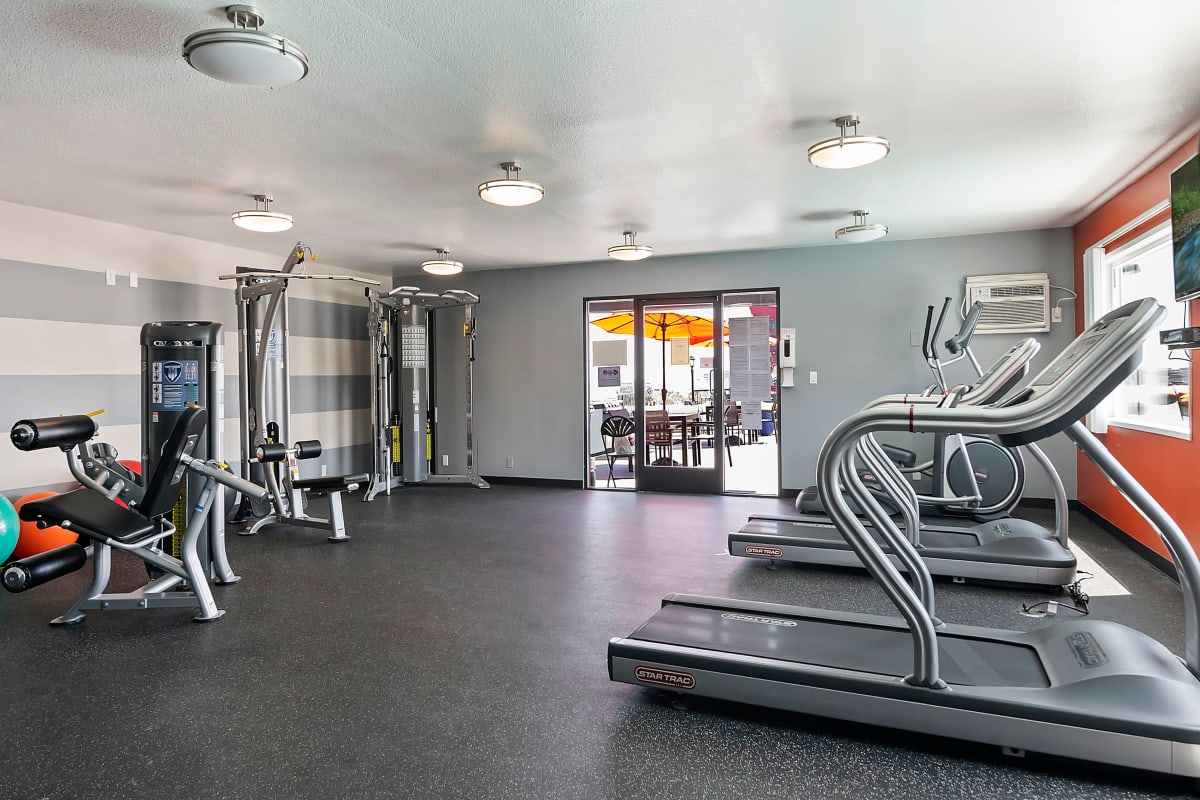 Community gym area with work out gear at Villa Francisca in West Hollywood, California