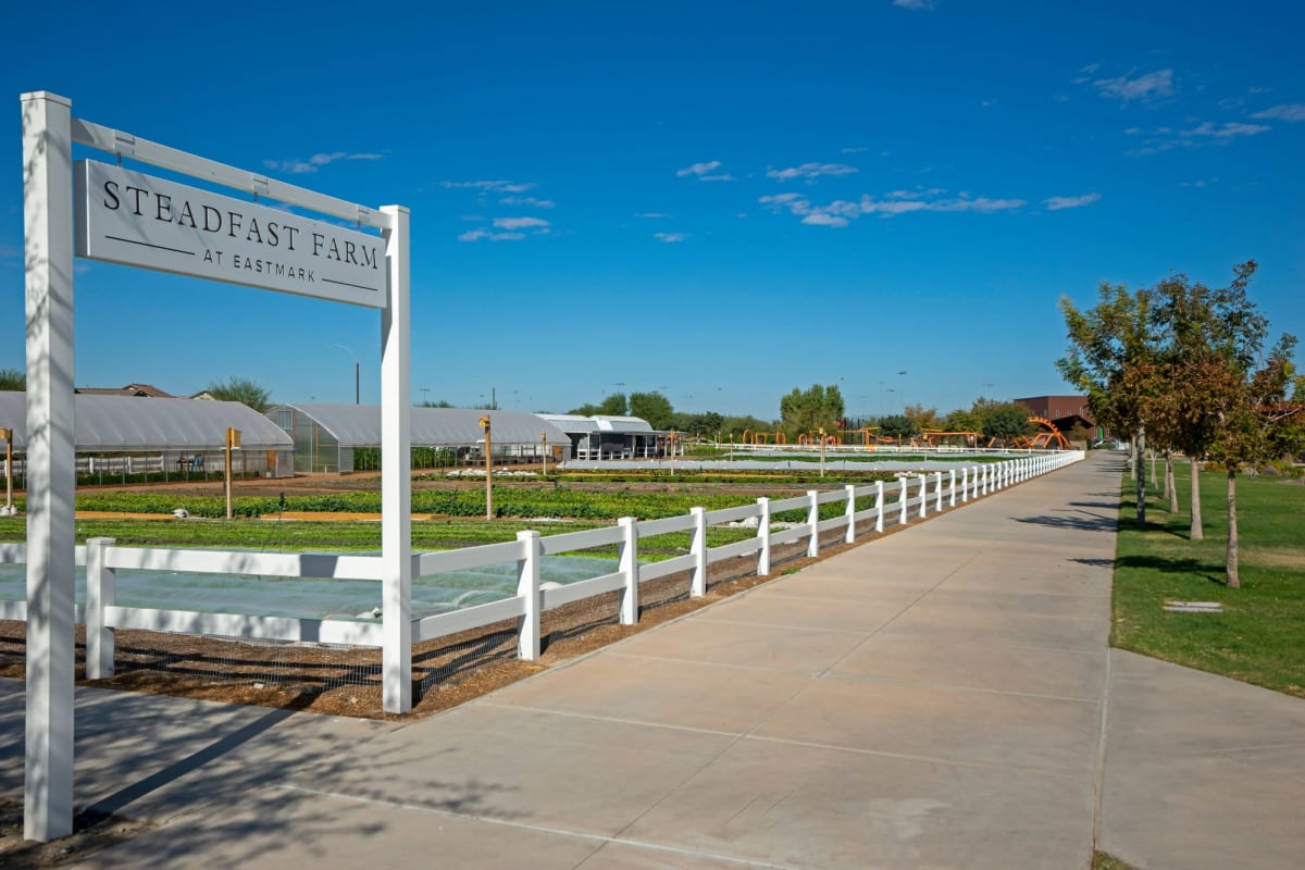 Farm near The Reserve at Eastmark in Mesa, Arizona