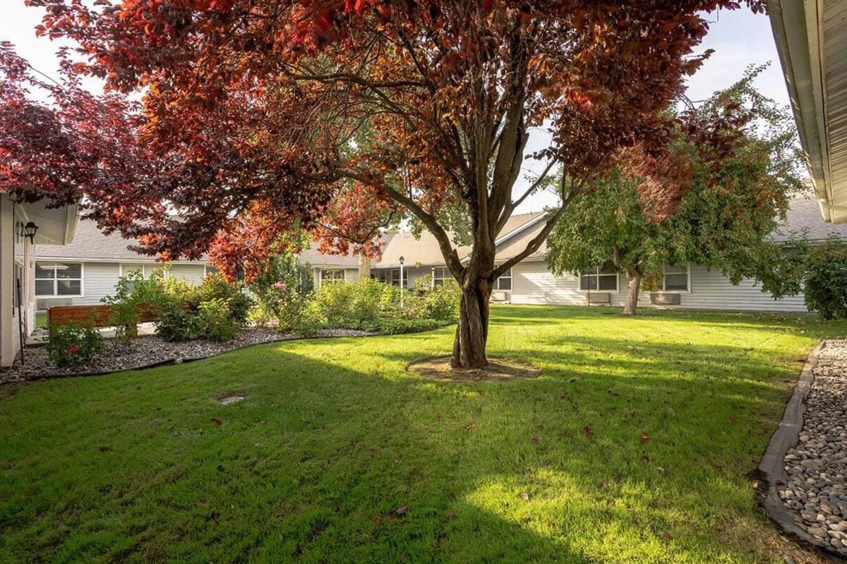 Yard with large tree at Trustwell Living at Whitman Place in Walla Walla, Washington