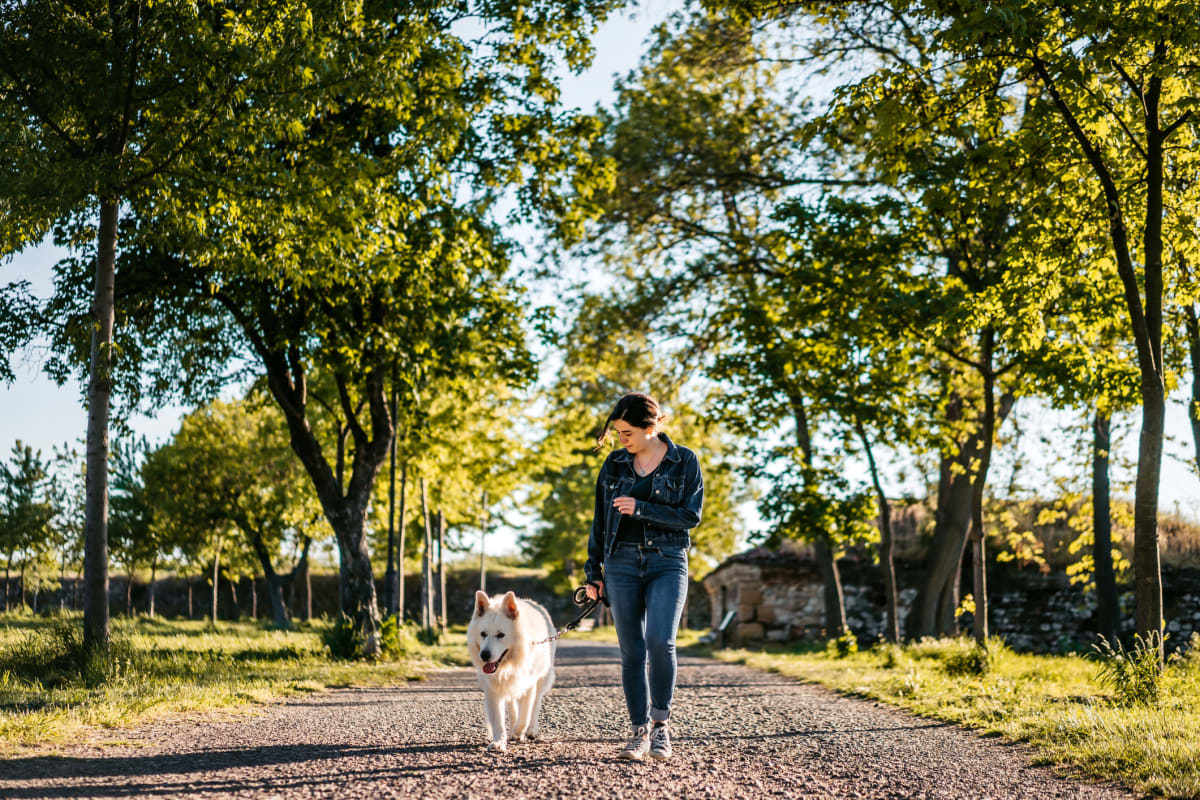 Resident walking her dog at Bradford Woods in Nashville, Tennessee