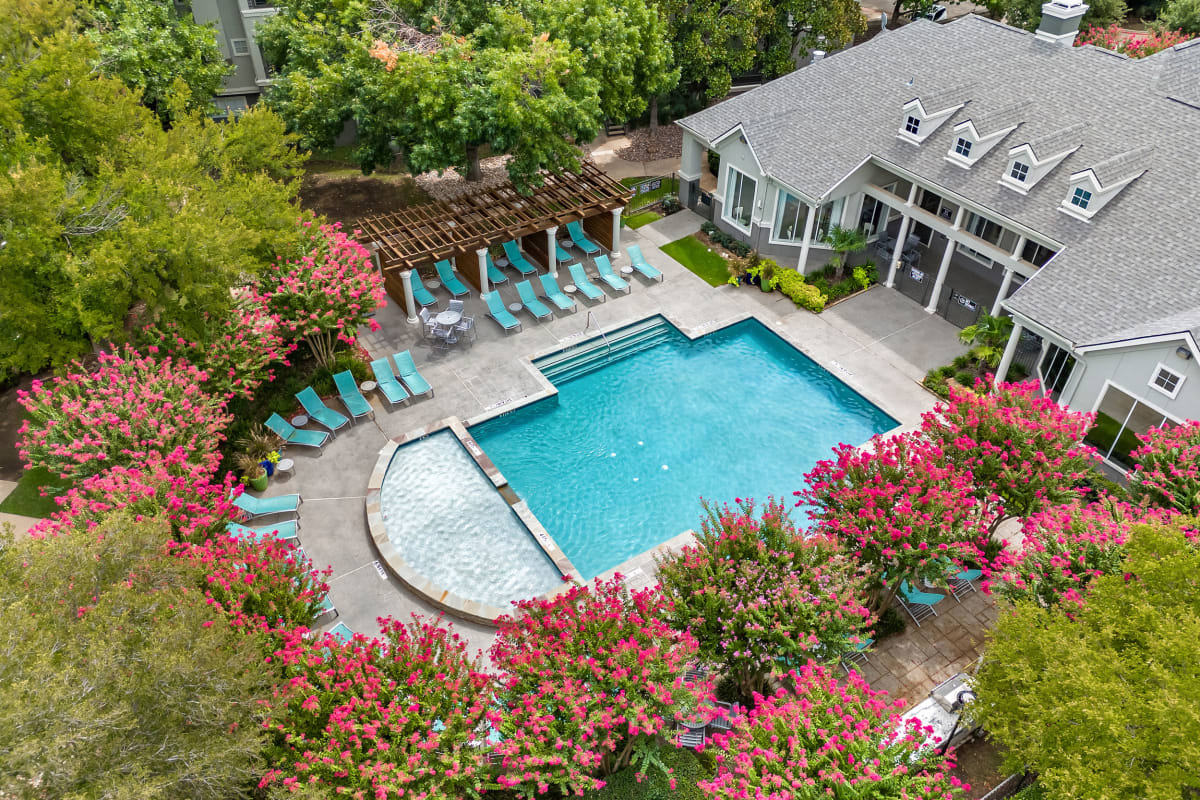 Pool, lounge chairs, and colorful lights under gazebo at Marquis at Stonegate in Fort Worth, Texas