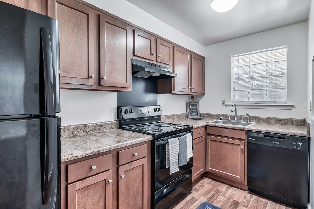 Modern kitchen with a dishwasher at Tall Trees in Scranton, Pennsylvania