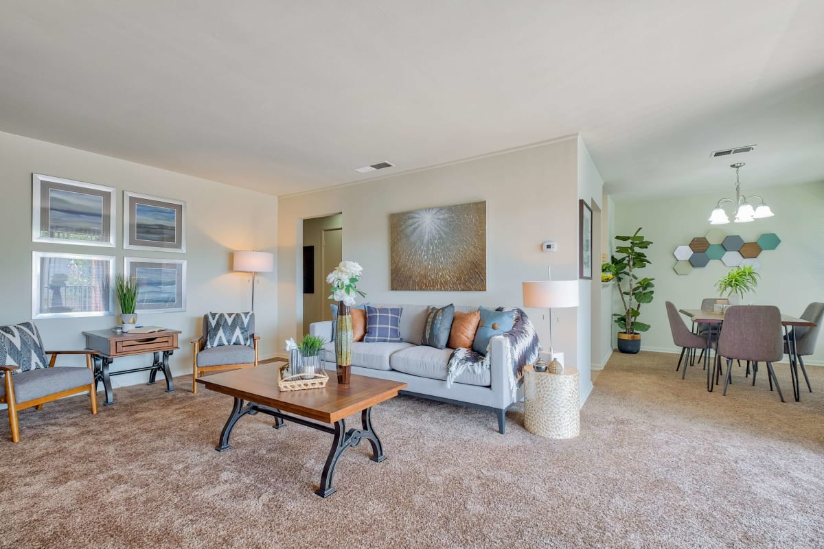 Large resident living space with plush carpeting at York Hills in York, Pennsylvania