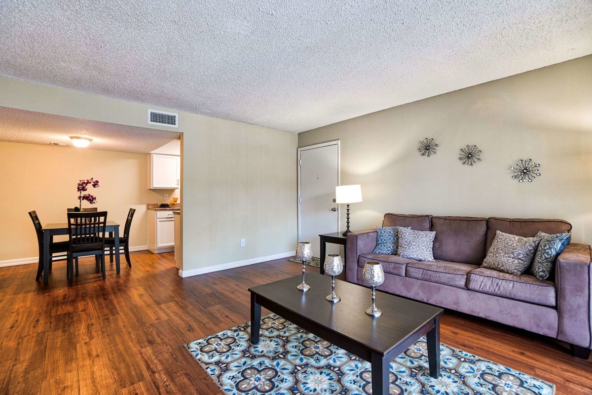 Resident living space with a rug and comfy couch at Royal Palms in Orlando, Florida