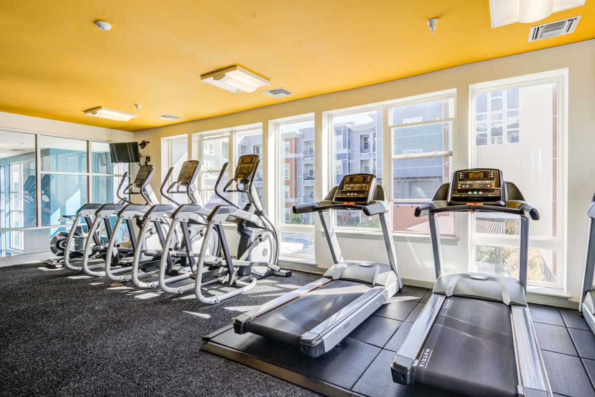 Treadmills and other workout equipment in fitness center at Indigo 19 in Virginia Beach, Virginia