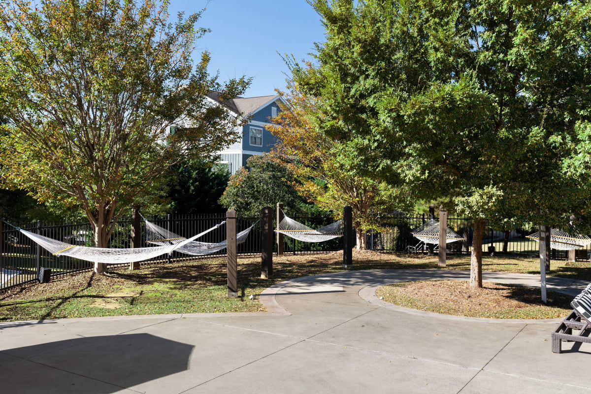 Trees with cradle area at West 22 in Kennesaw, Georgia