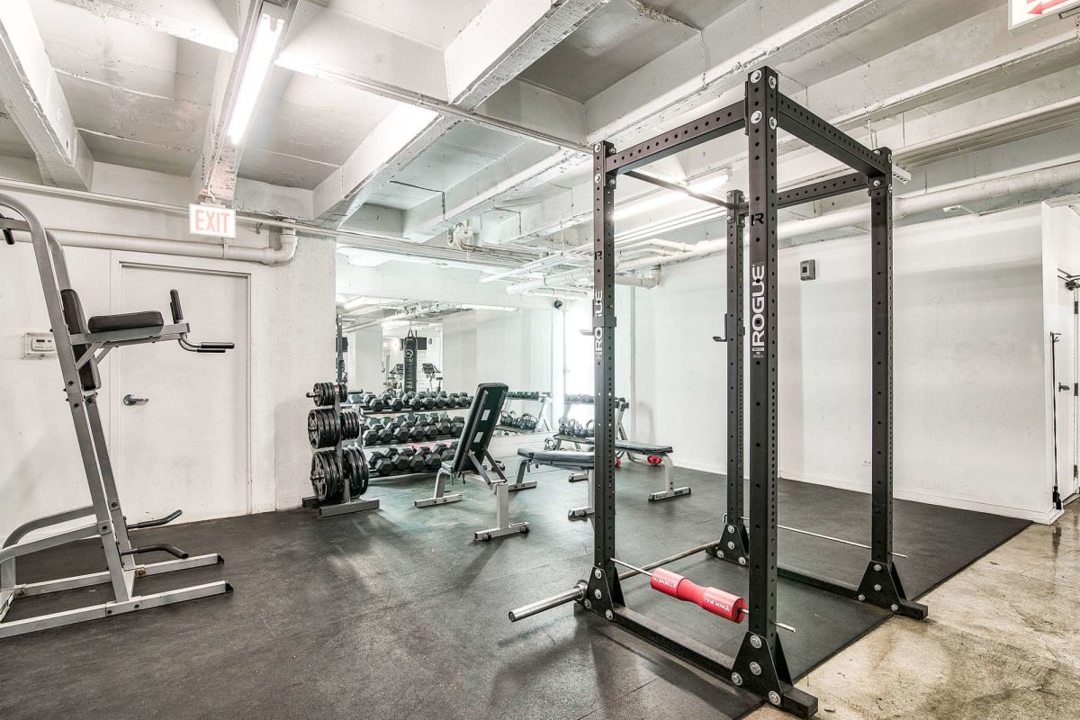 Free weights in the fitness center at The Maynard at 1325 W Wilson in Chicago, Illinois