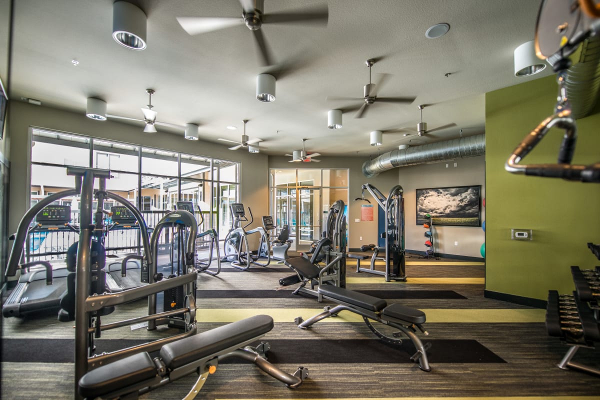 Cardio and weight lifting equipment in the fitness center at 33 North in Denton, Texas