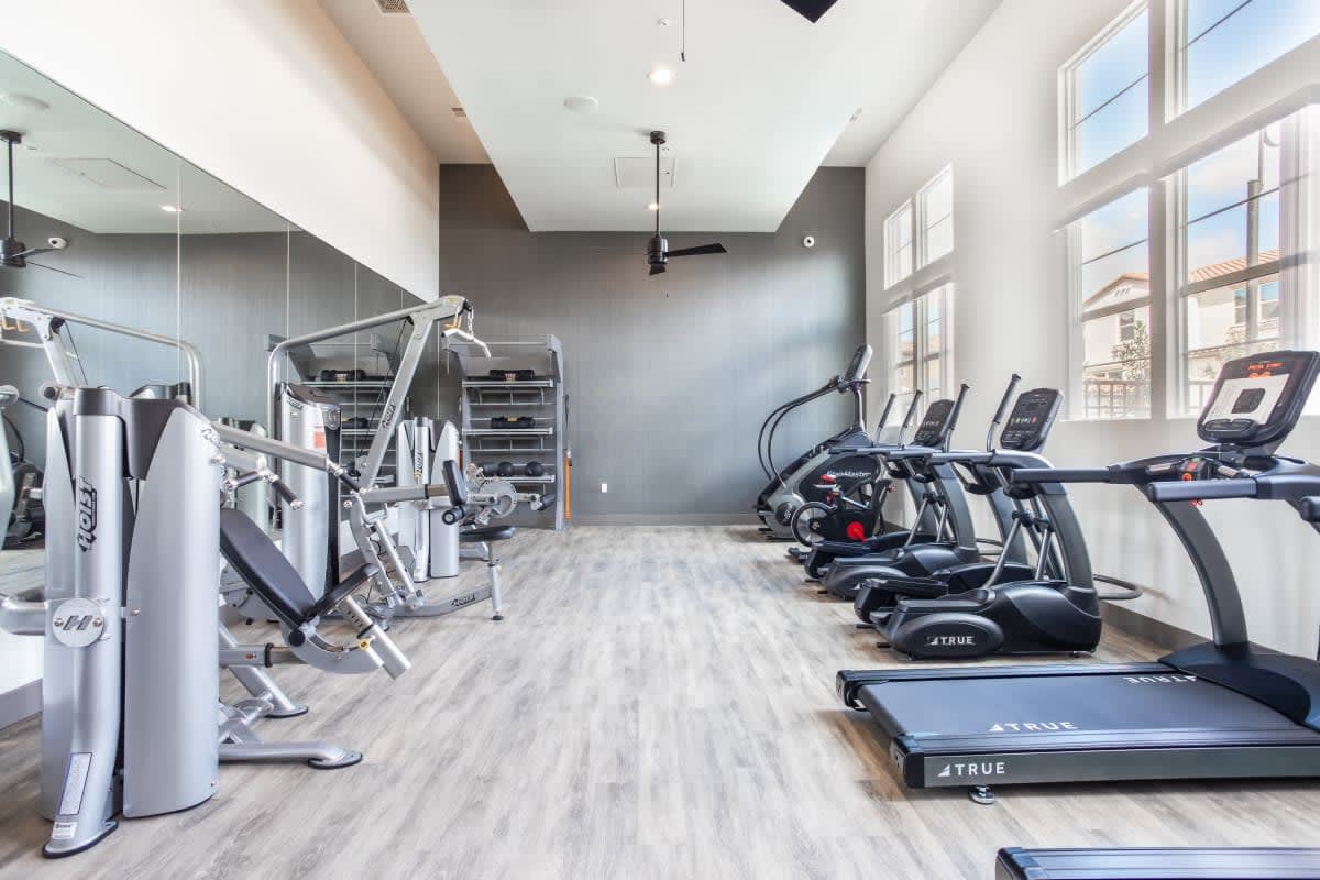 Modern gym fitness room with large windows and treadmills at Ageno Apartments in Livermore, California